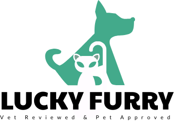 LuckyFurry – where cat happiness is our top priority!